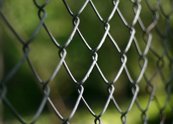 jardin du grillage de maillon de chaîne de 25-100mm/25m Diamond Chain Link Fence For