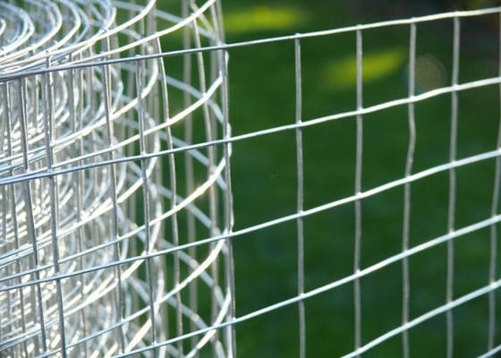 fil Mesh Fence de l'acier inoxydable 304 316/fil Mesh Roll en métal de 0.5m-3M