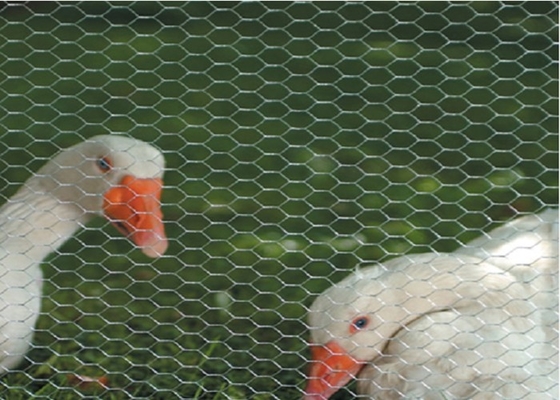 Le PVC a enduit l'aperçu gratuit galvanisé de mesure de fil du grillage 0.5-5.0mm de poulet