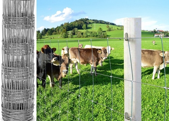 L'électro de protection a galvanisé les bétail en acier barrière, cerf commun/grillage de prairie